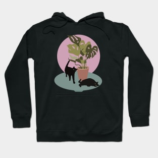 Black Cats with Plant Hoodie